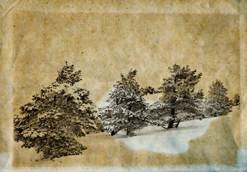 Similar image 1712558