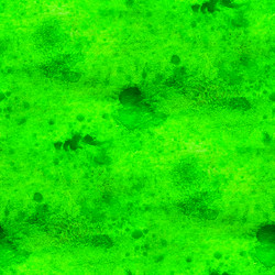 Similar image 1712631