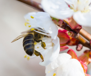 Similar image 1712723