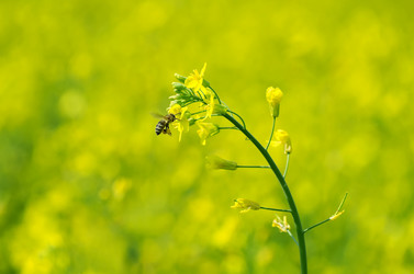 Similar image 1712726