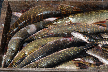 Similar image 1712752