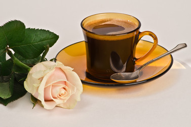 Similar image 1712769