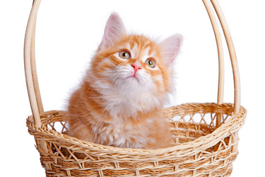 Similar image 1712821