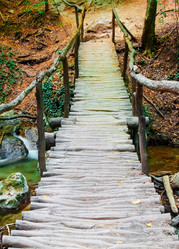 Similar image 1712841