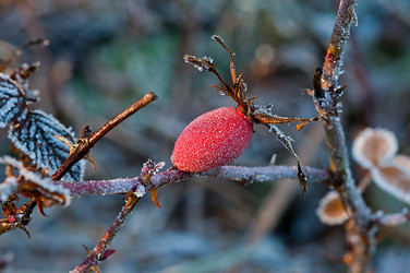 Similar image 1712870