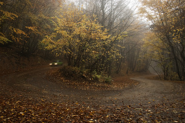 Similar image 1712872