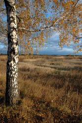 Similar image 1712877