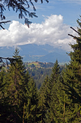 Similar image 1712878