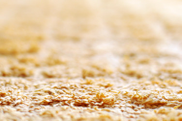 Similar image 1712910