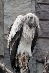 Similar image 1712933