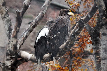 Similar image 1712934