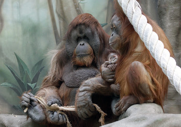 Similar image 1712937