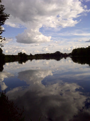 Similar image 1712947