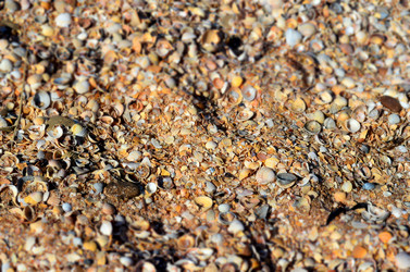 Similar image 1712950