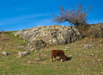 Similar image 1712963