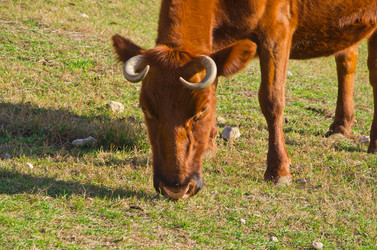 Similar image 1712964