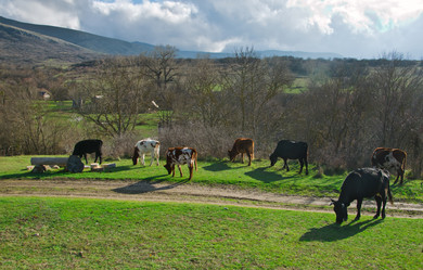 Similar image 1712968