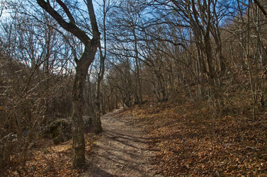 Similar image 1712999