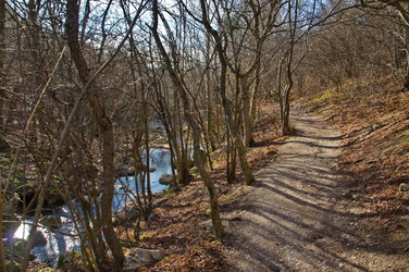 Similar image 1713000