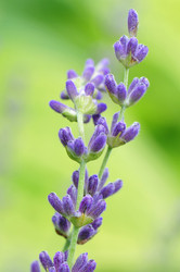 Similar image 1713051