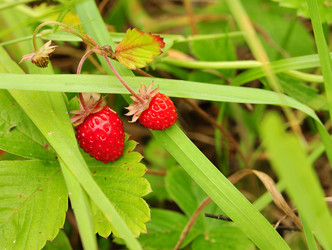 Similar image 1713053