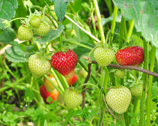 Similar image 1713058