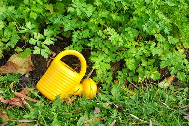 Similar image 1713067