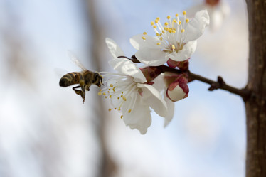 Similar image 1713132