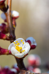 Similar image 1713133