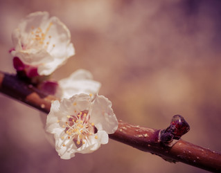 Similar image 1713134