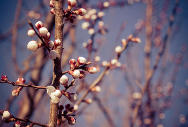 Similar image 1713161