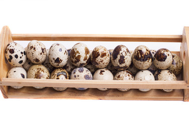 Similar image 1713239