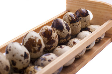 Similar image 1713259