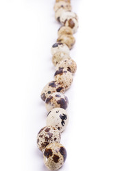 Similar image 1713260