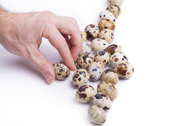 Similar image 1713262