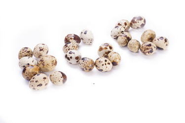 Similar image 1713270