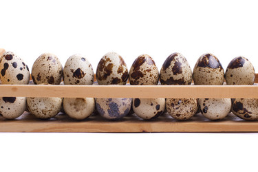 Similar image 1713273