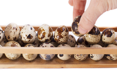 Similar image 1713275