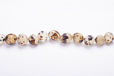 Similar image 1713277