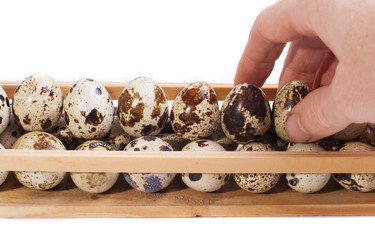 Similar image 1713281