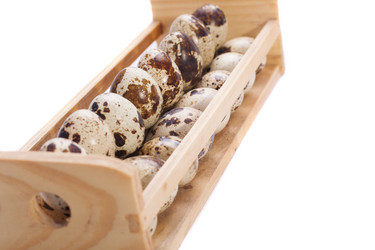 Similar image 1713282