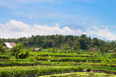 Similar image 1713344