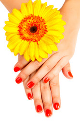 Similar image 1713420