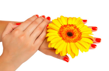 Similar image 1713421