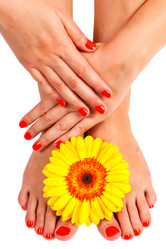 Similar image 1713424