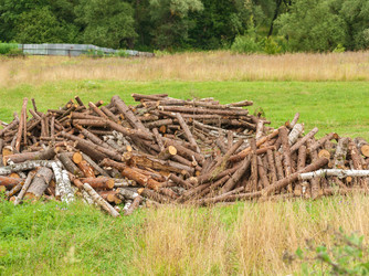 Similar image 1713462