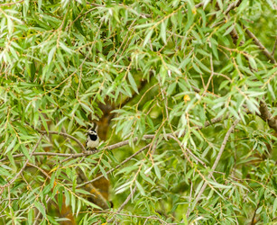 Similar image 1713463