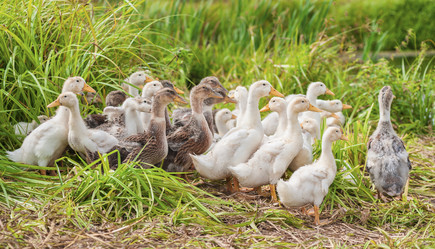 Similar image 1713479