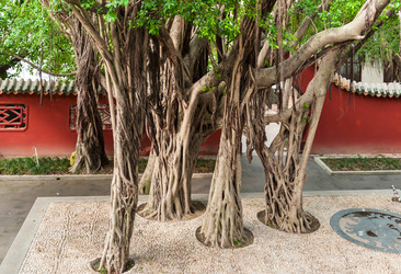 Similar image 1713483