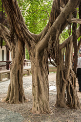 Similar image 1713489